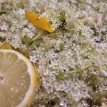 how to make elderflower cordial