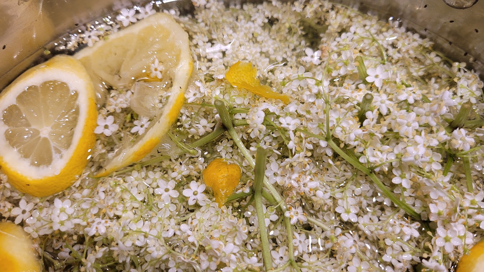elderflower cordial