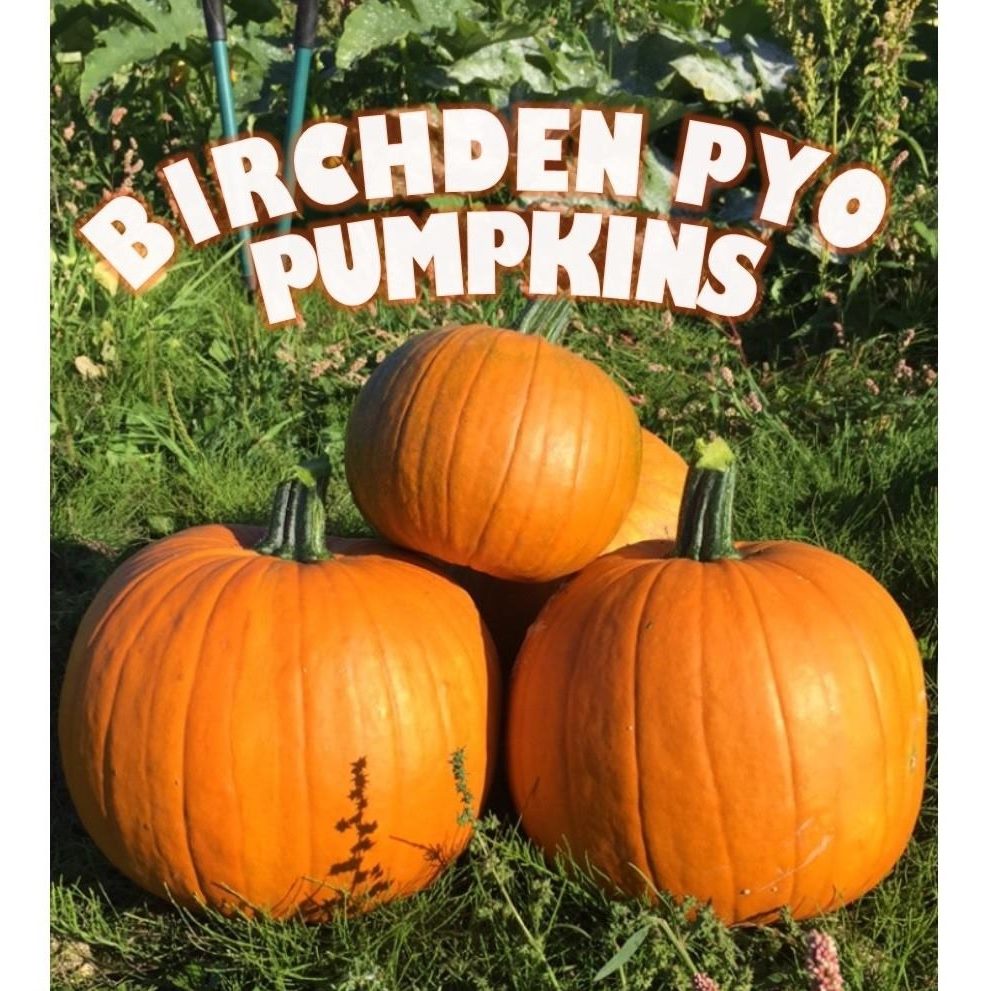 327357460 5720756811336435 7582130842887763494 n