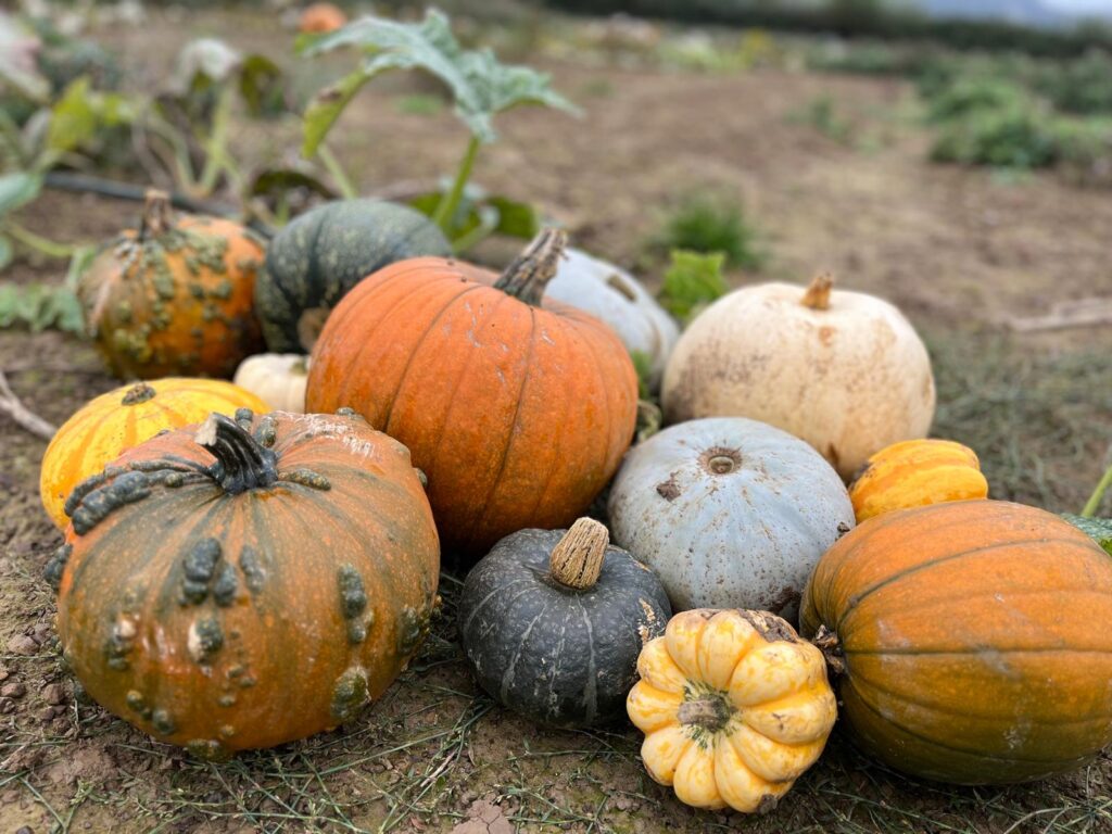 556832021 839943435029584 7297525792712655701 n