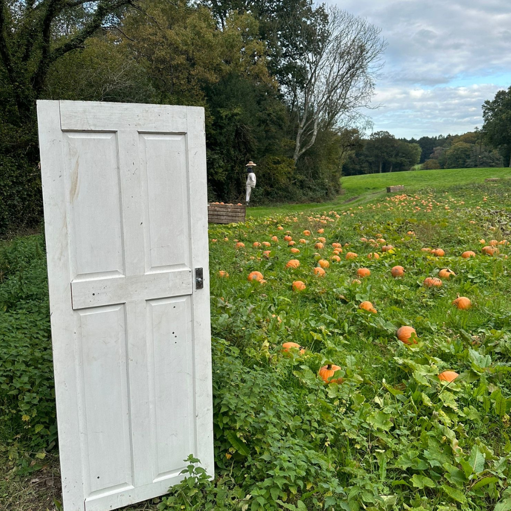 untitled design 2025 09 04t150918.554