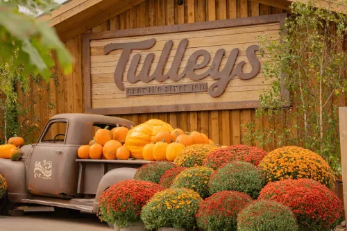 screenshot 2025 09 23 at 194940 image(500x333 crop autorotate)