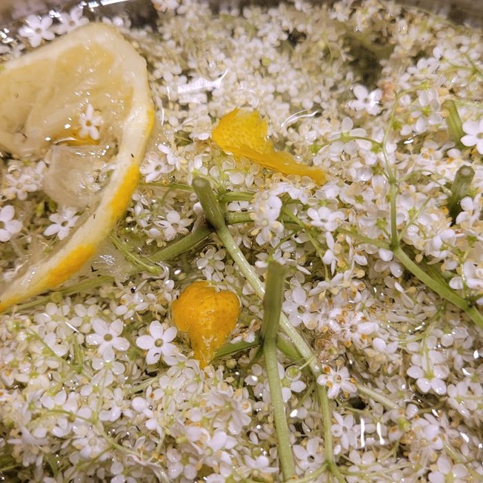 elderflower cordial